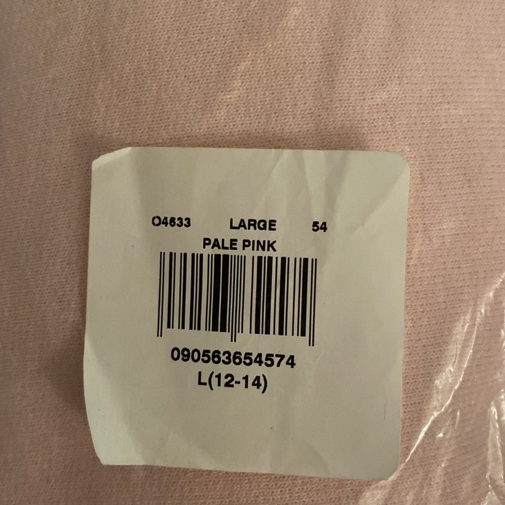 NWT Hanes EcoSmart Crewneck Sweatshirt Large - Pale Pink - Picture 3 of 6